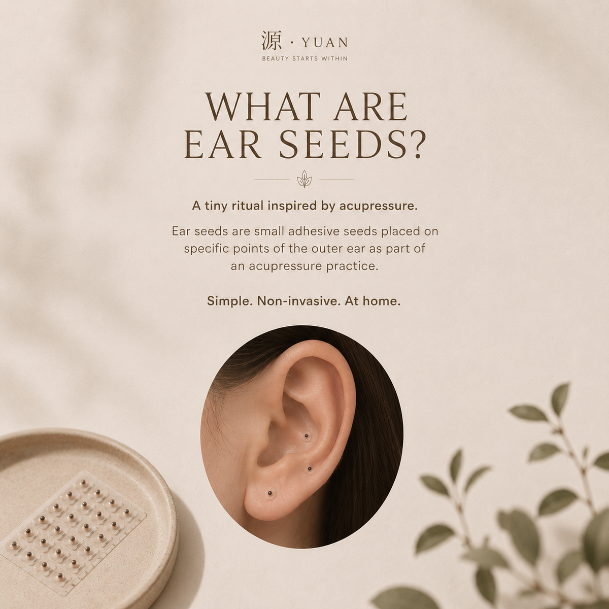 源 · YUAN Ear Acupressure Seed Kit