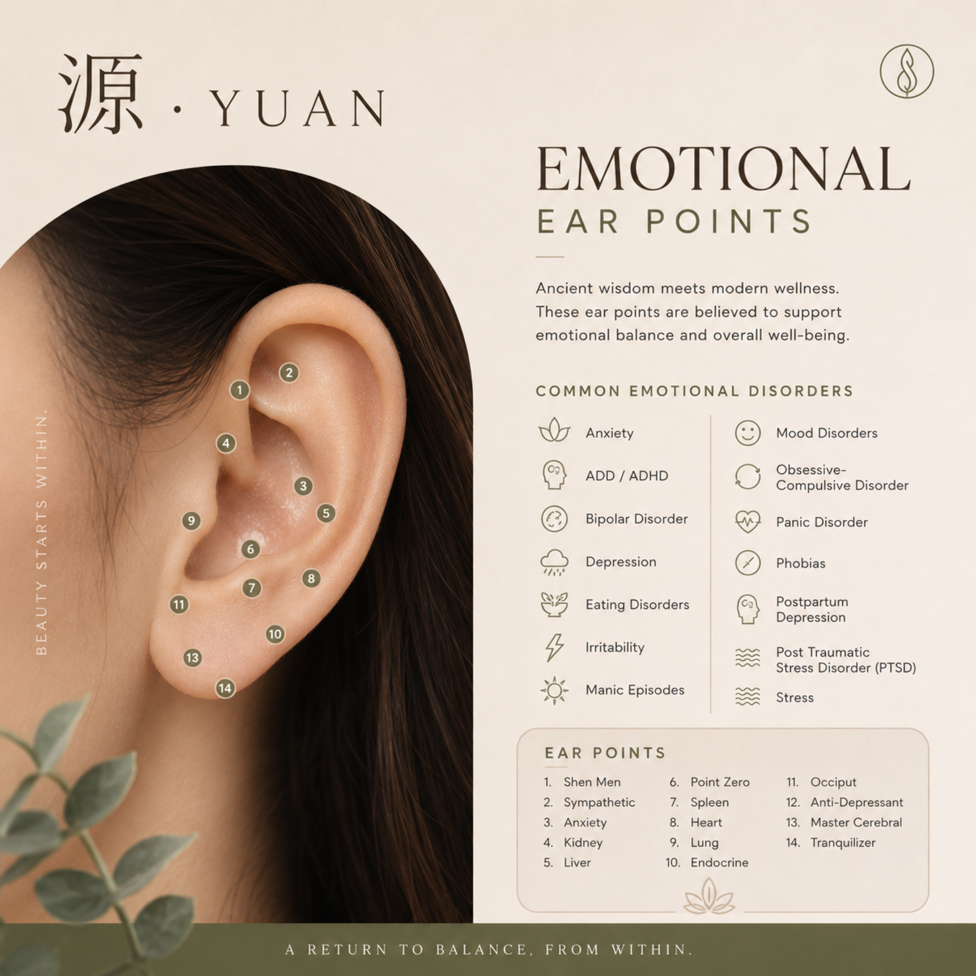 源 · YUAN Ear Acupressure Seed Kit